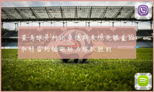菜鸟球员科比桑德斯表现亮眼奎因和特雷约翰逊助力球队胜利