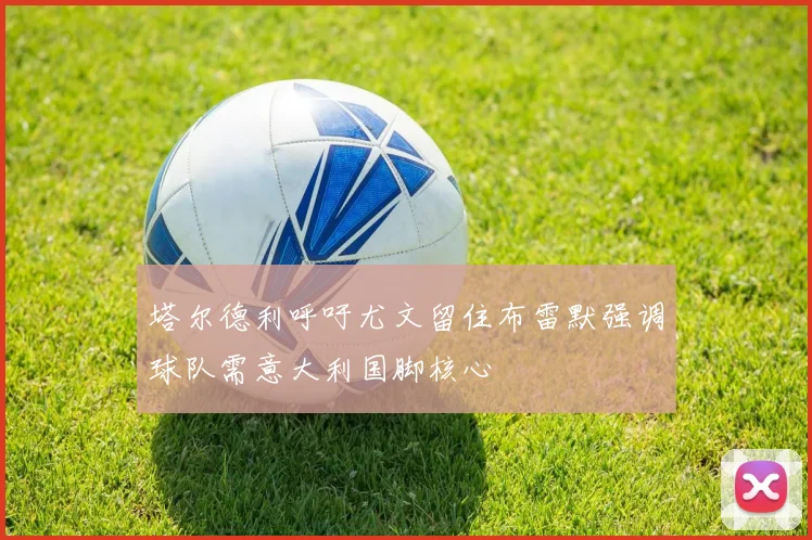 塔尔德利呼吁尤文留住布雷默强调球队需意大利国脚核心